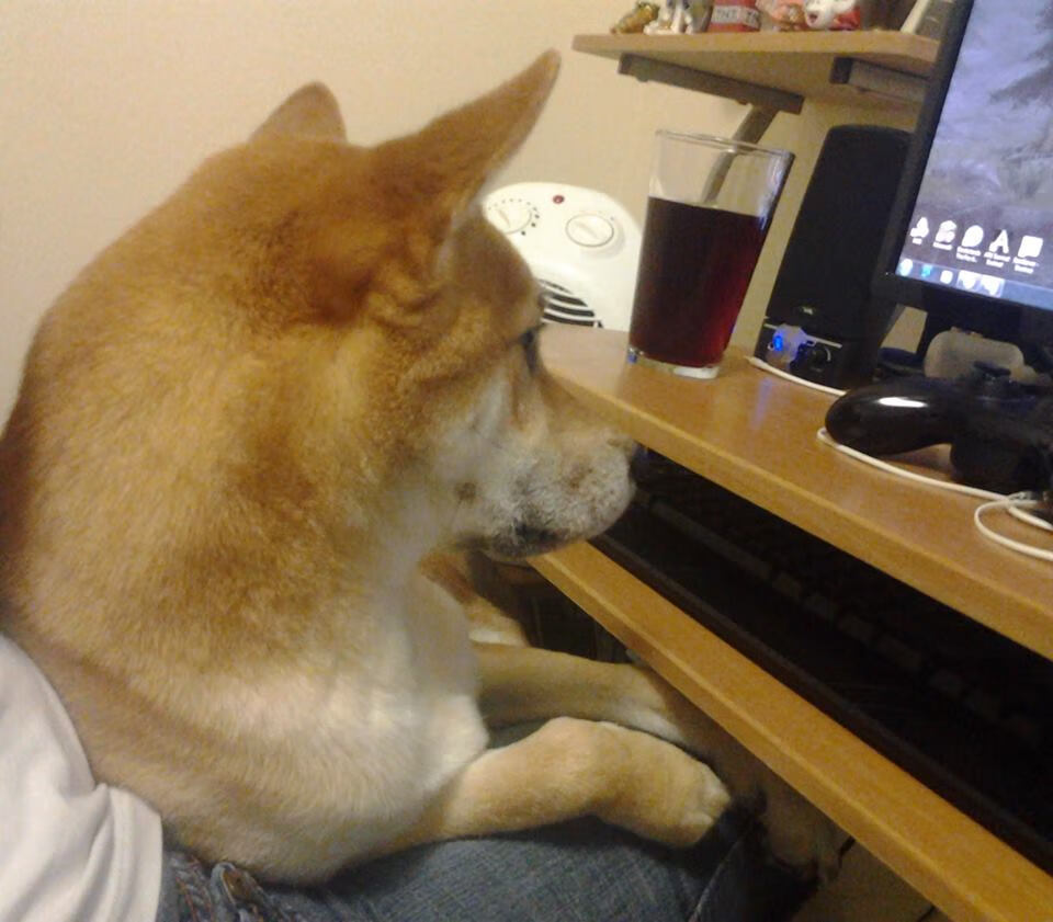 爱游戏官网-“每秒激燃：点燃每一场比赛的极致激情”