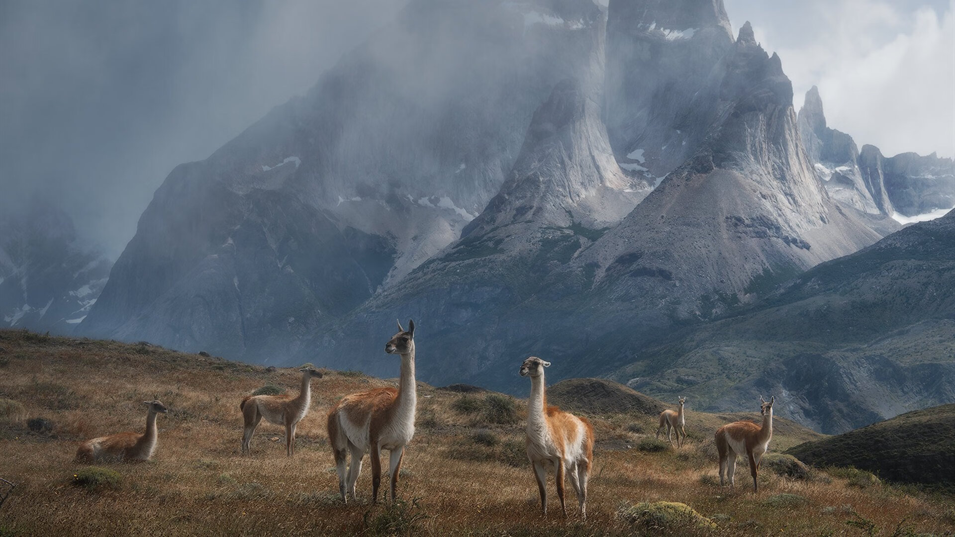 法国橄榄球队在主场表现出色，获得季军，法国top14橄榄球联赛