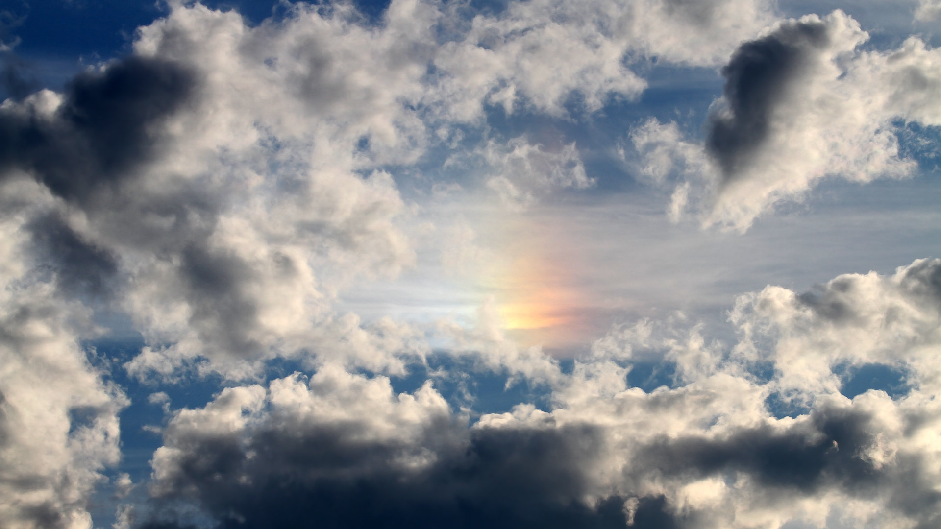 AYX体育-竞技巅峰：职业生涯之巅的表现大赏，竞技巅峰[重生]作者_白弦