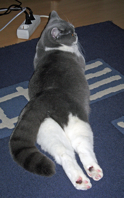 K联赛最新积分榜：蔚山继续领跑，2020年k联赛积分排行榜