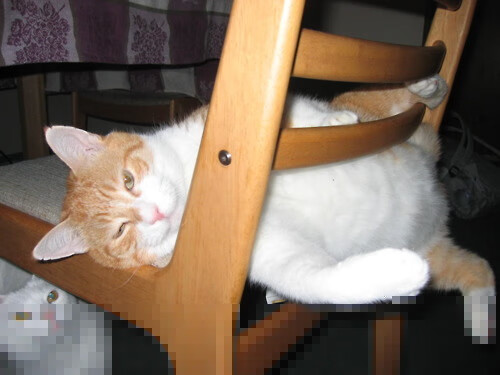 决赛分组揭晓,皇马巴萨再剑指冠军,欧冠决赛八强