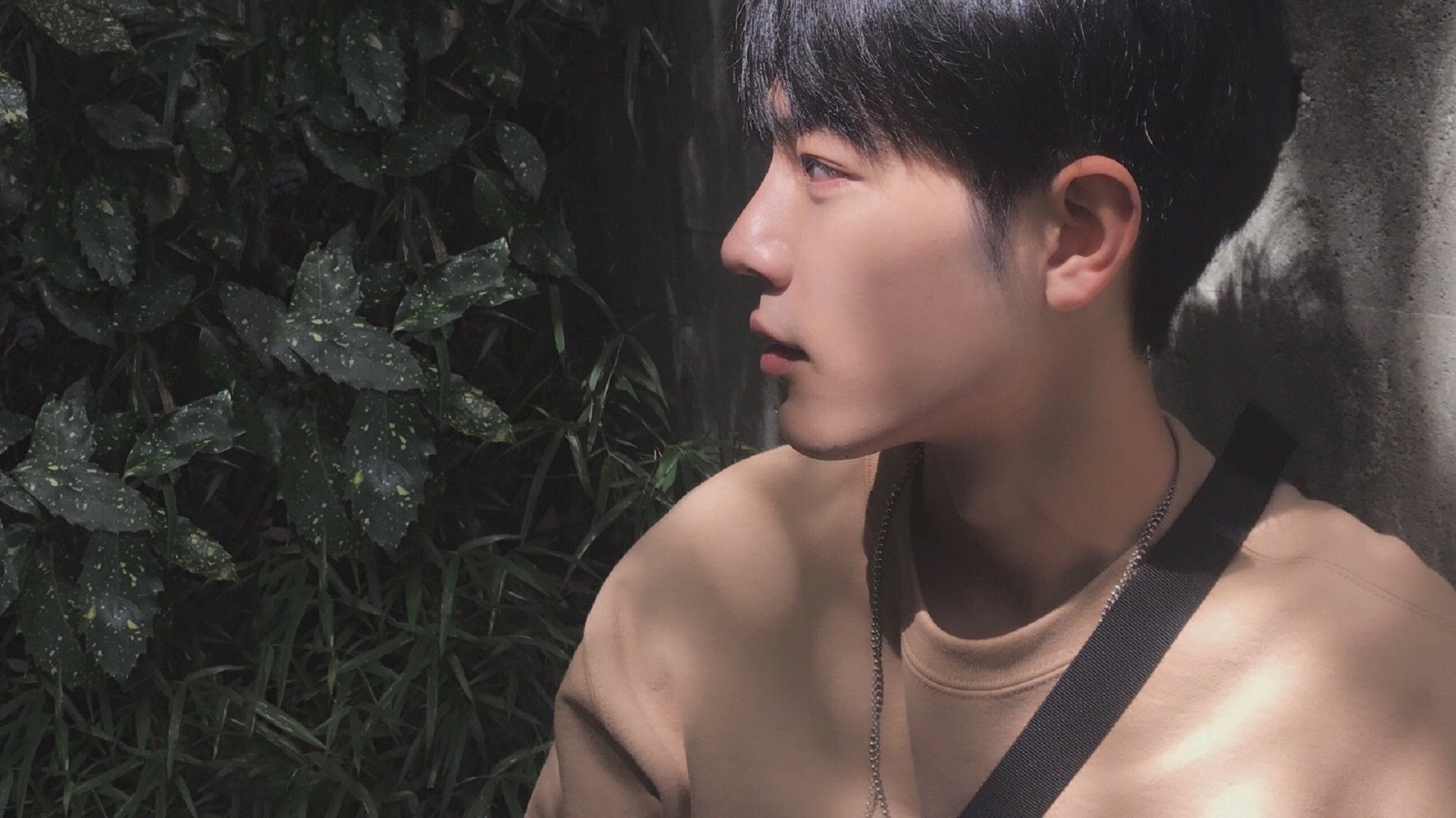 爱游戏体育（AYX）官方APP下载-四川金强主场优势明显，四川金强比赛直播