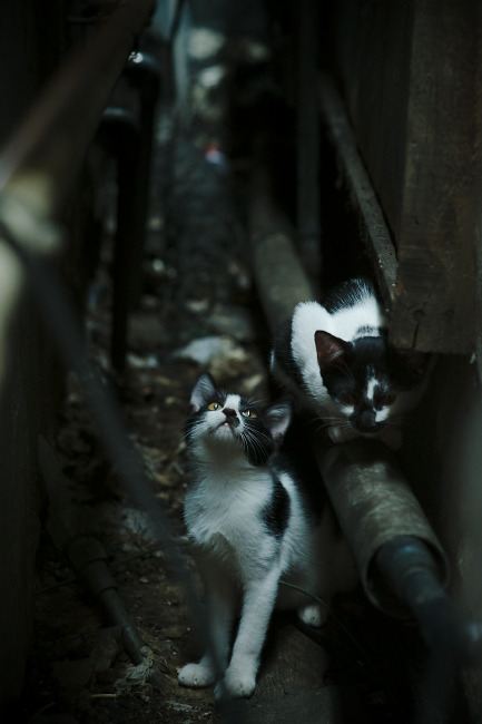 爱游戏体育-国民队新赛季目标明确，国民队新赛季目标明确了吗