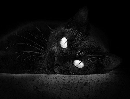 AYX GAMING-拜仁慕尼黑客场2-0战胜沙尔克04，继续保持不败，拜仁慕尼黑战术