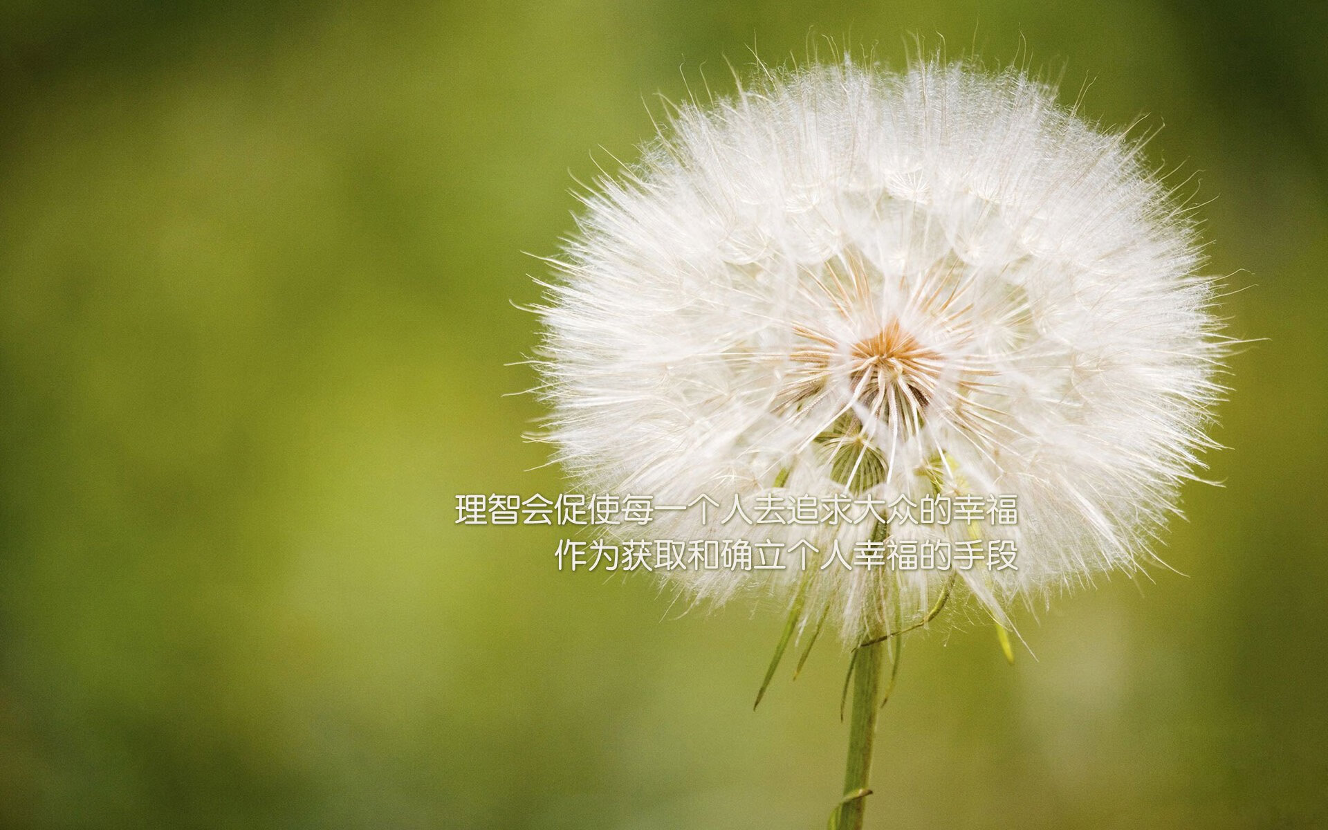 桑托斯队长续约成功，桑托斯ds