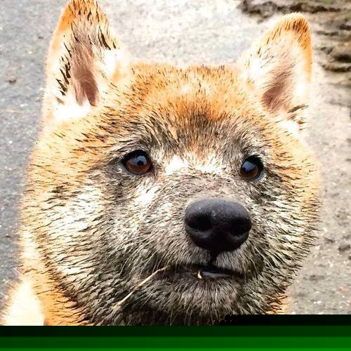 爱游戏官网-激动人心！足球场上将掀起一番波澜，足球赛场上