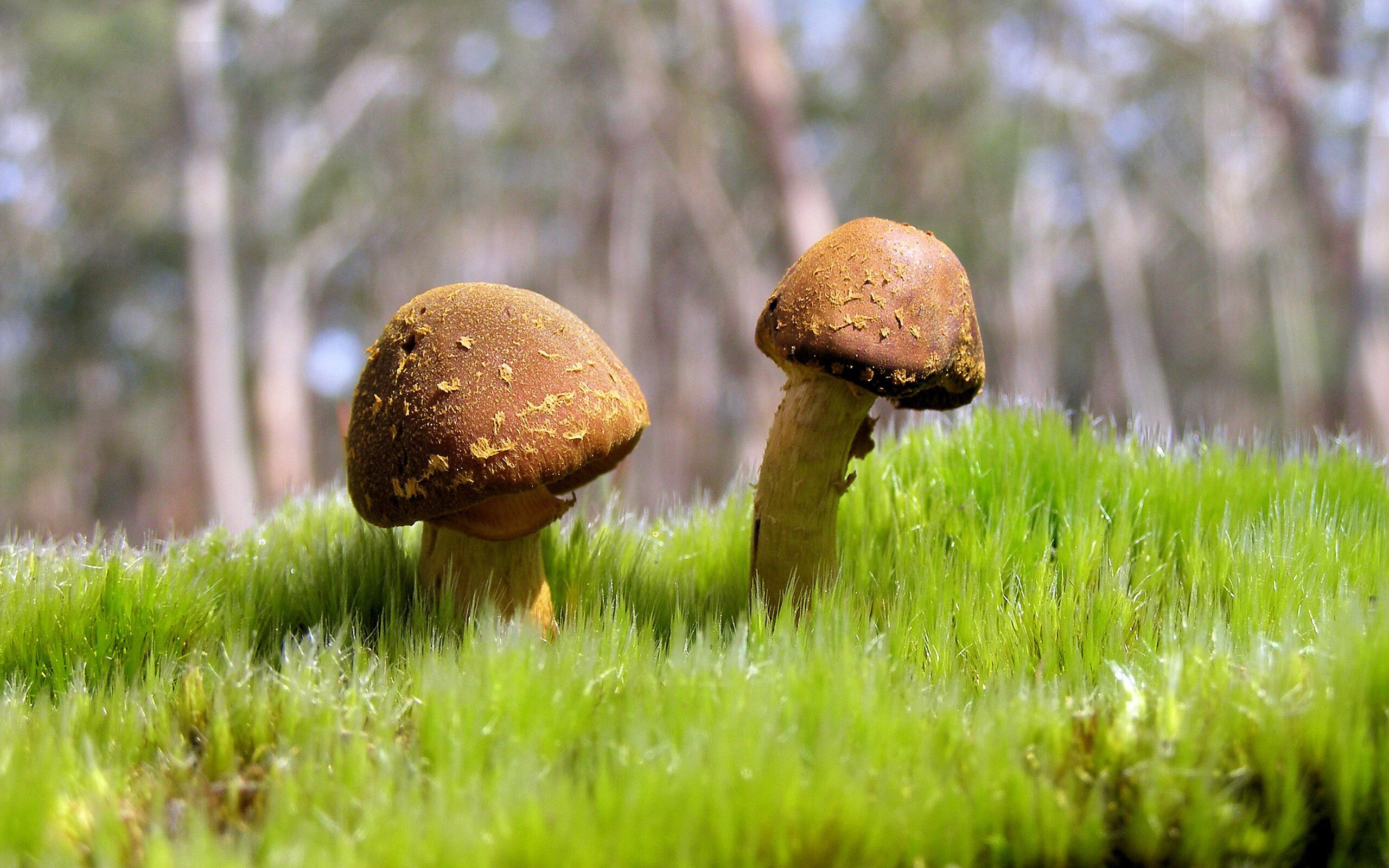 爱游戏体育APP下载-纽波特郡进攻组织严密，艾克斯球场力求胜利，纽波特镇