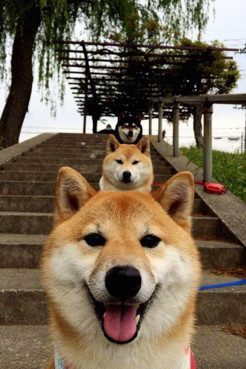 AYX体育-阿斯顿维拉主场1-0小胜诺丁汉森林，保级关键三分，阿斯顿维拉今天比赛