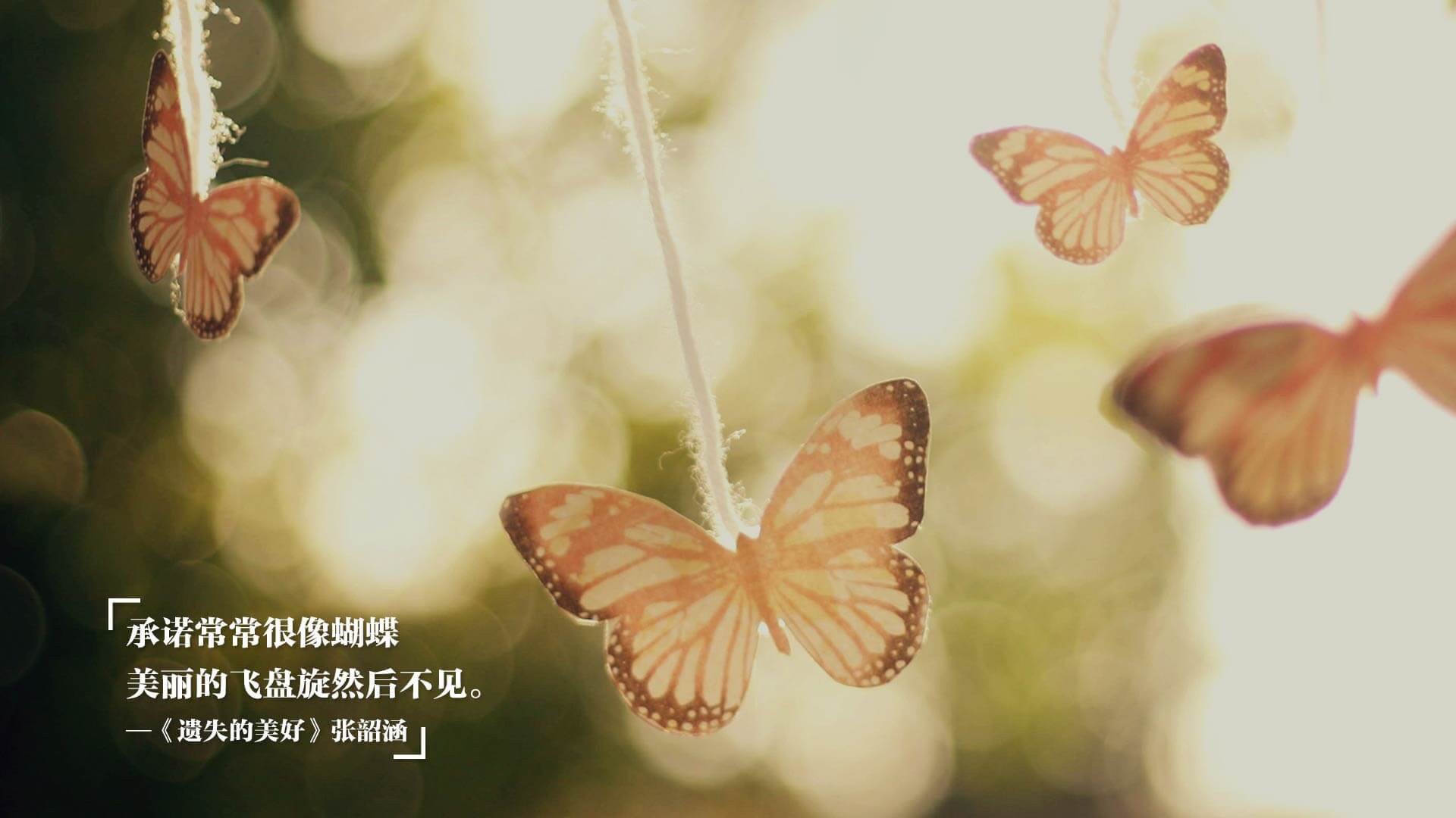 乒乓球世界杯决赛精彩落幕,中国队再创辉煌,乒乓球世界杯决赛精彩落幕,中国队再创辉煌