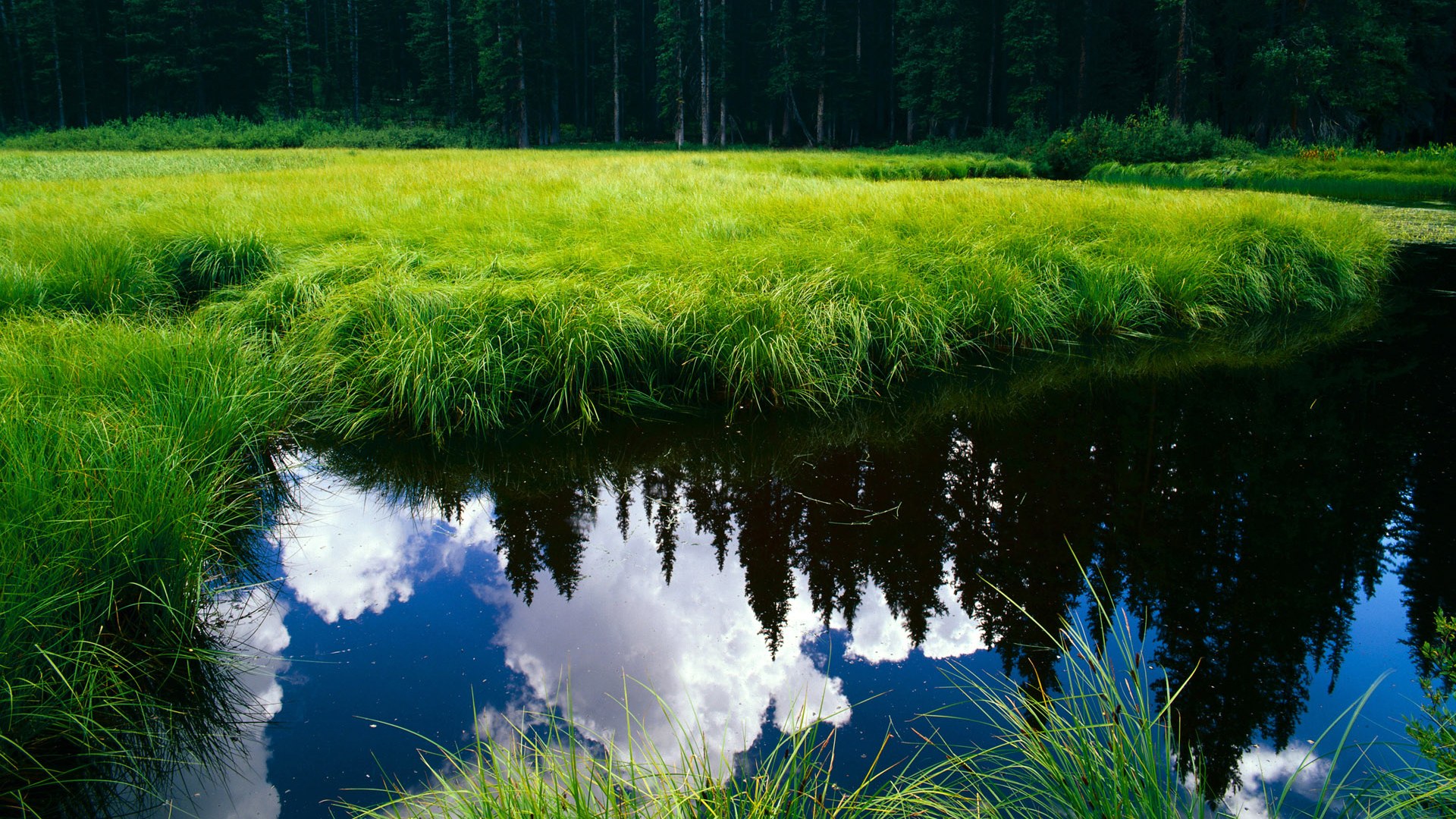 爱游戏综合娱乐-体育新闻中心上线体育纪录片数字播控系统，数字体育频道