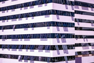 爱游戏-体育新闻中心建设体育数字内容版权保护体系，体育数据新闻