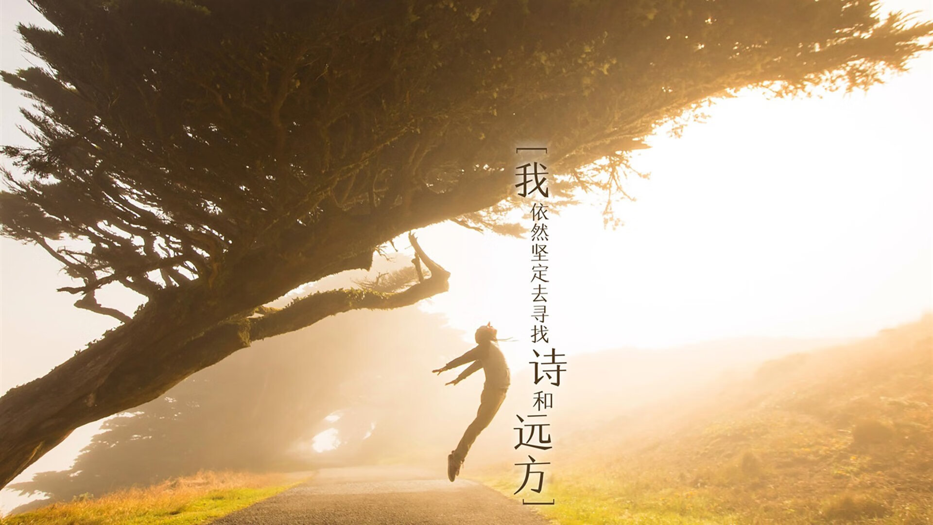 体育明星参与自然保护活动引发共鸣，体育明星是否有利于体育发展