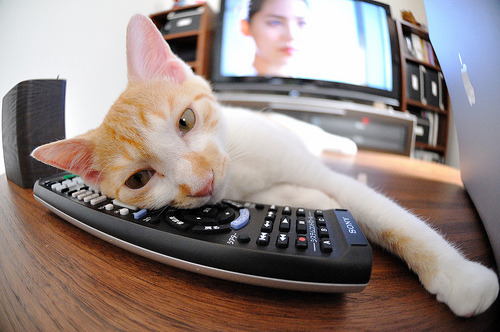 爱游戏中国官方网站平台-中国足球俱乐部社区青训项目取得丰硕成果，中国足球青训营