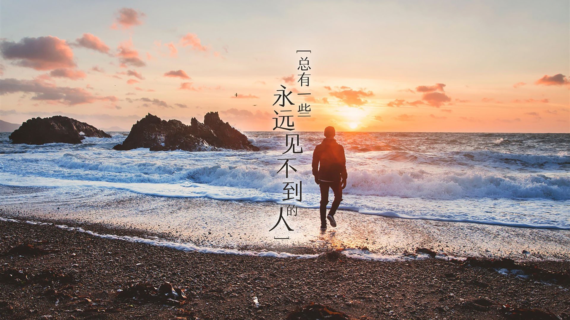 女足梯队逐步建立教练轮换制度提升执教持续性，女足教练竞选