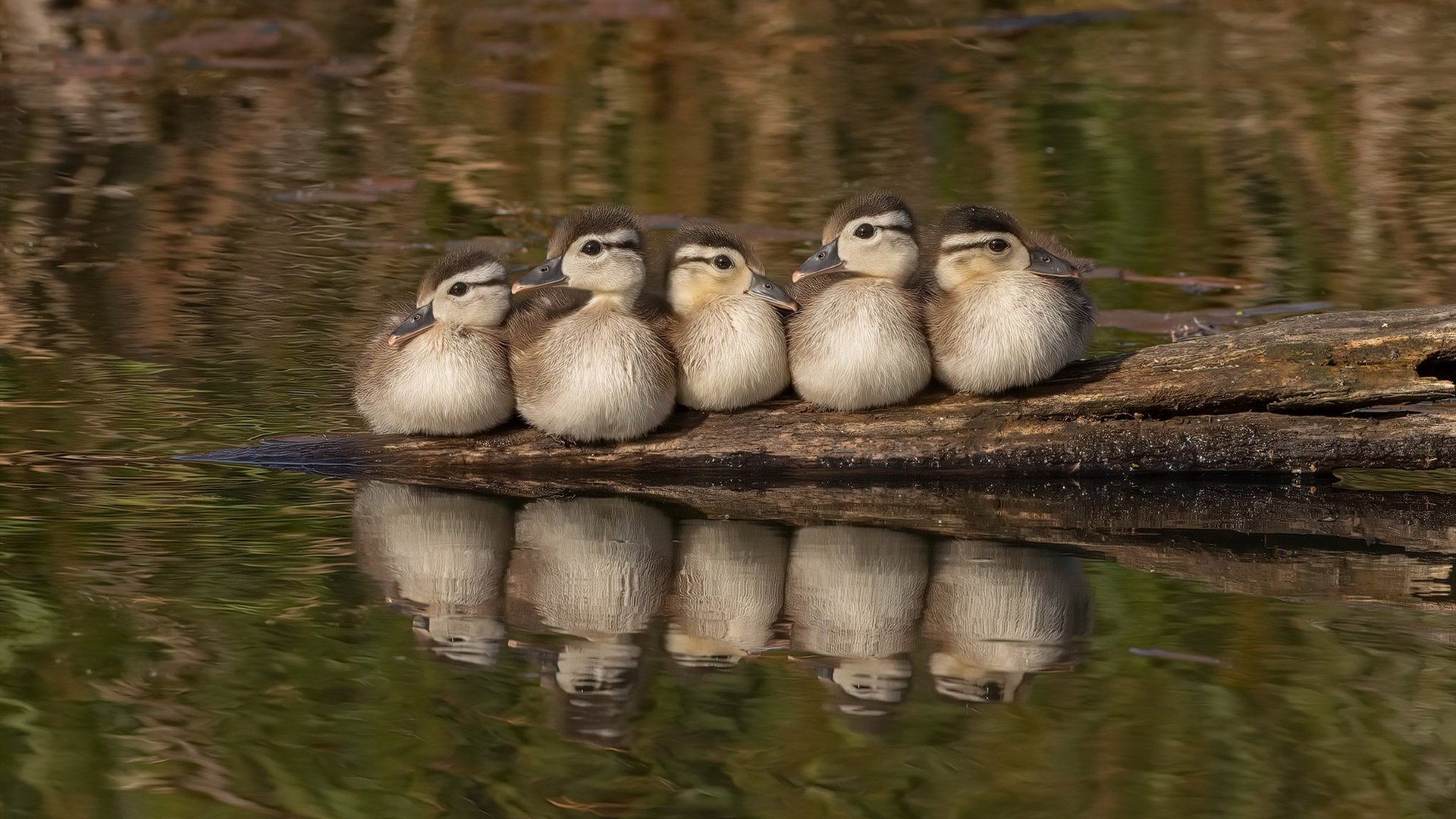 爱游戏在线登录入口-布克称需要强化团队信任建立稳定结构，在团队管理中,营造信任氛围的方法