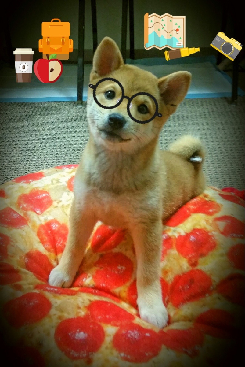 球队医疗报告透明，伤病恢复进度获外界关注，球队伤病情况